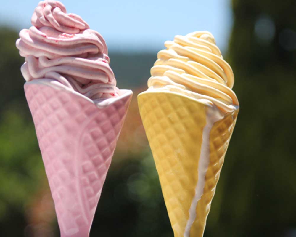 Real Fruit ice cream Machine